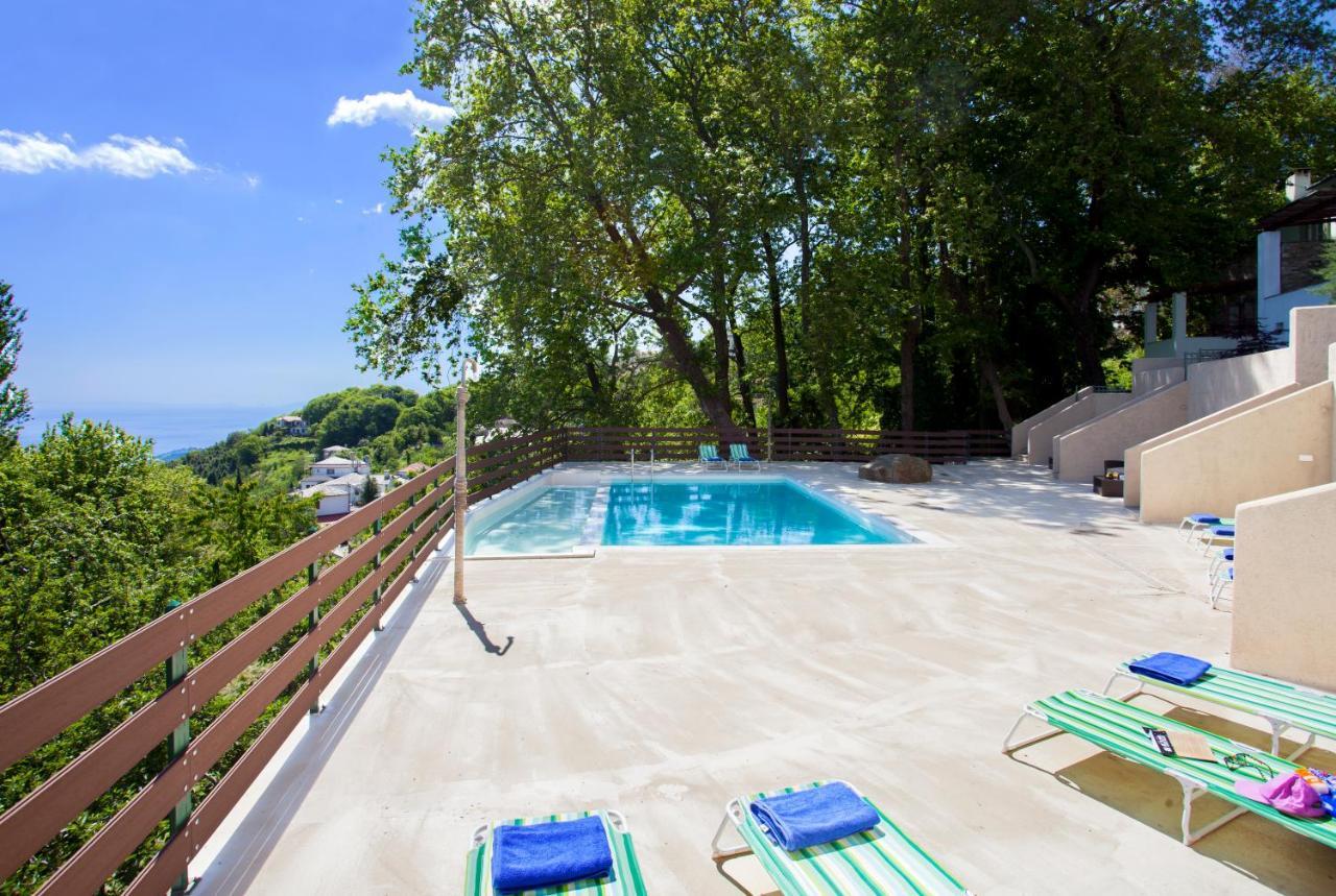 זגורה Luxury Villa At Pelion- Ruby מראה חיצוני תמונה